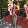 mastar.tokgyi