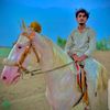 brand.shadia.ala
