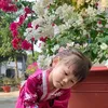 luudipanh