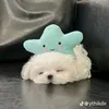 phamthianhtho2
