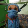 gringo.vietnam