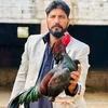 rajaaqab95