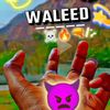 waleedtiktok22
