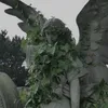 qwyxx228
