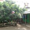 renita5192