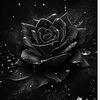 blackrose3037