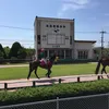 s.harada0