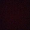 adam_44578