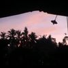 gst_ayu01
