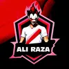 raza.tk.gamer