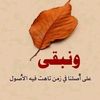 alloufa97