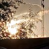 mramir472