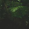 joseph_mahonqa
