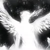 tst6o