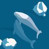 meredow_67