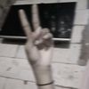 fina_zii