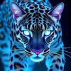 bilalhdr8