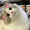 meri_pov_chuche