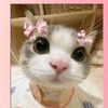 krzn.aisyah23