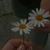 user1279827104009