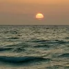 samira.dz05