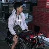 arya_catalog4