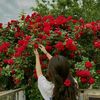noor42439