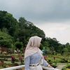 _niaaa13__