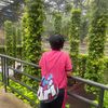 mallika_550
