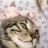 lilycarson070