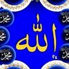 nabil.aly79