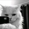 billl_0120
