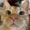 evil_budy