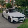 _artemko_car_pot