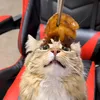 cocoastreet1