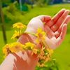 shimo.akhter4
