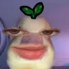 yass_mineeeeeeeee
