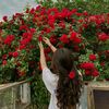 annatul95