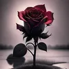 user2885021146614