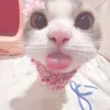 byyarakss