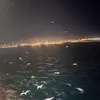 salma_60359