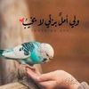ya.allh.ya.alih