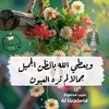 mohammedibrahim3384