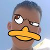 ognjen.bojic7