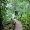 nhaywood_1