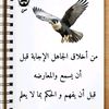 user4885624255140