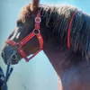 feri71107