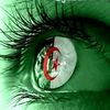 algrienne.dz8