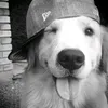 wattpad_fanfics31