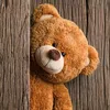 user586444005
